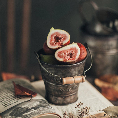 Vintage Iron Bucket