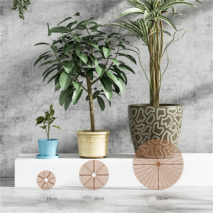 Eco-Friendly Plant Pot Soil Guard | Prevents Soil Spills & Promotes Healthy Plants