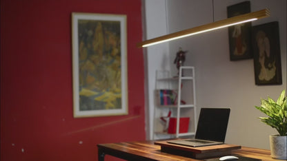 Wooden pendant light– Modern LED Hanging Lamp over a stylish workspace with red wall and plant.