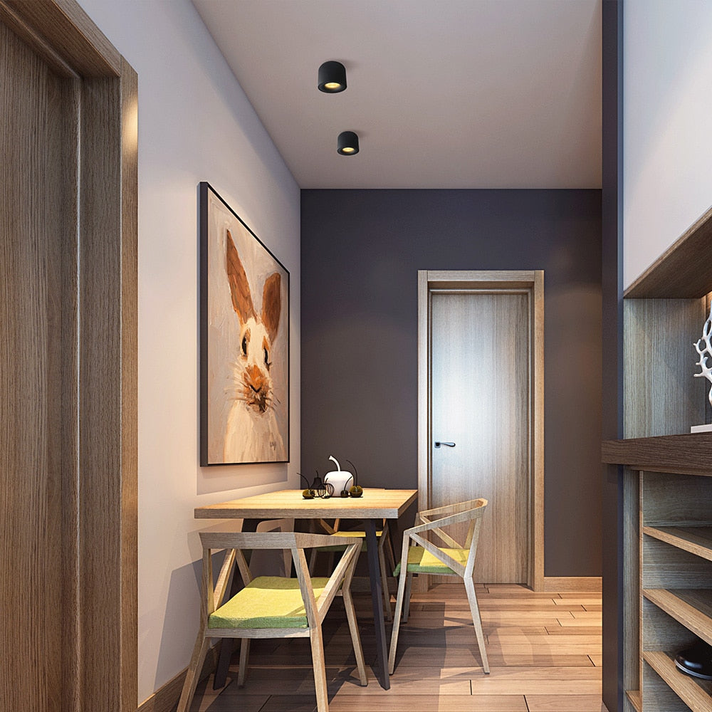 LED Downlight Ceiling Spotlights-the Housite UK
